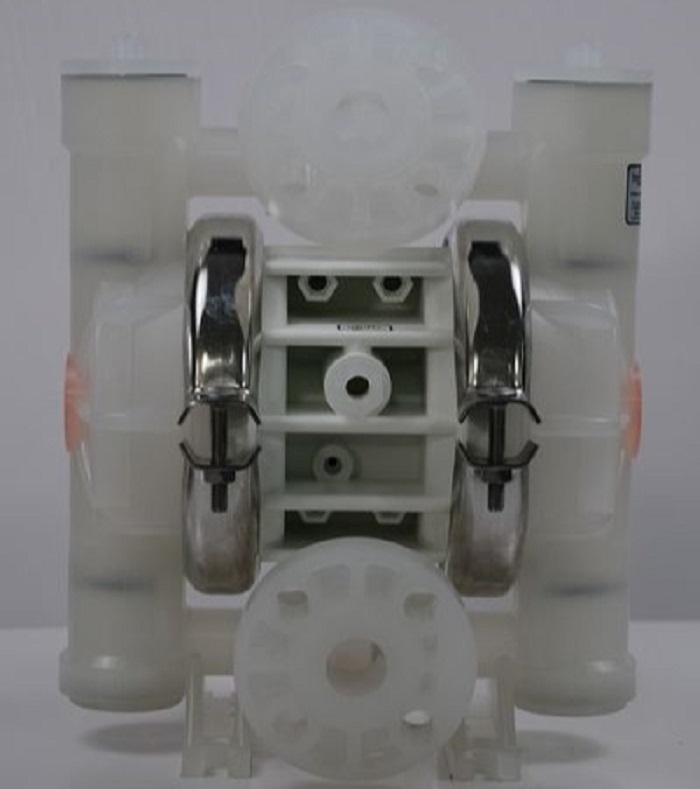 P2未加水印 (2).png