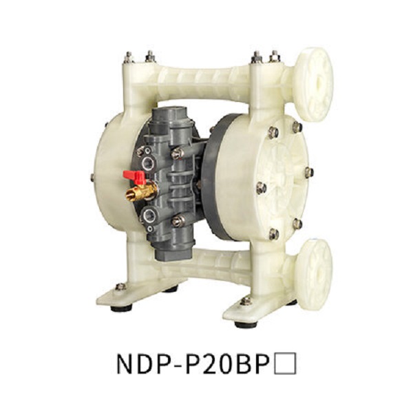 ndp-P20bp_f.jpg