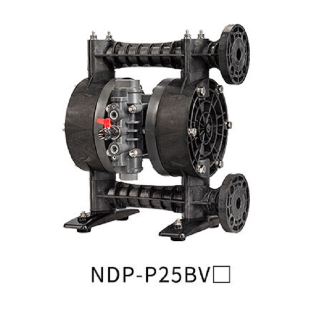 ndp-P25bv_f.jpg